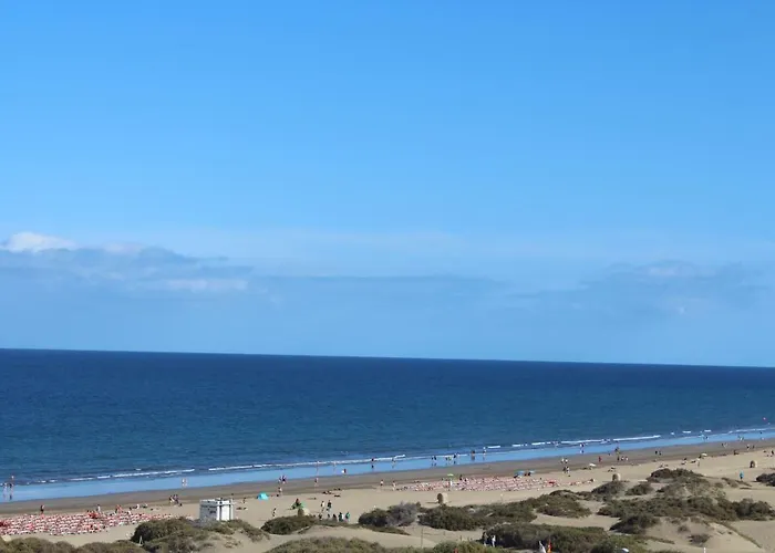 Duna Flor 아파트 마스팔로마스